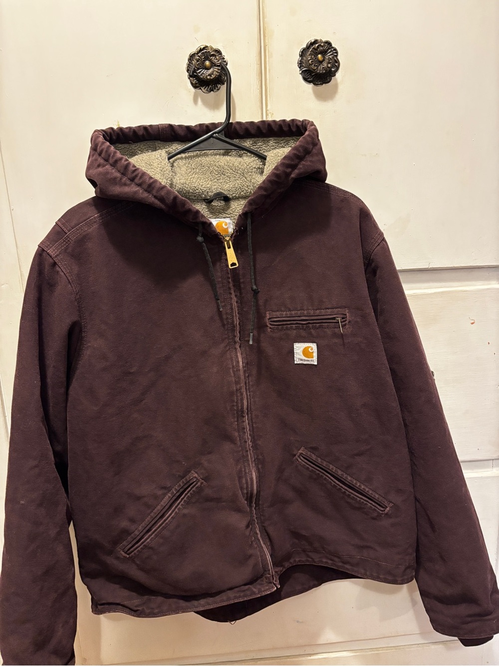 Carhartt Hooded Sherpa-Lined Jacket in Dark Brown